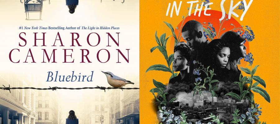 Bluebird by Sharon Cameron, Black Birds in the Sky by Brandy Colbert