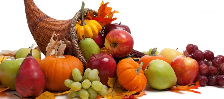 Cornucopia of Fruits and Veggies