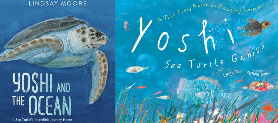 Perfect Pair of books for World Turtle Day